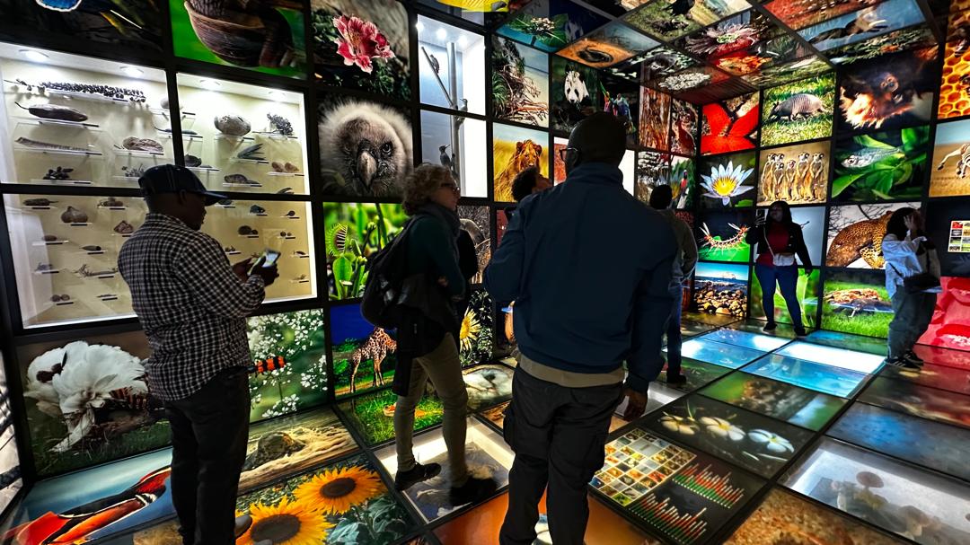 Today with <a href="/SustainITVET/">SUSTAIN-IT</a>  Project field trip to the Urdaibai Biosphere Reserve preserving a unique natural ecosystem ensuring a balanced coexistence of human activities biodiversity and developing #environmental #education activities

<a href="/Apro_Formazione/">Apro</a> <a href="/pitxorierri/">POLITEKNIKA TXORIERRI</a> #TVET #EuAfrica