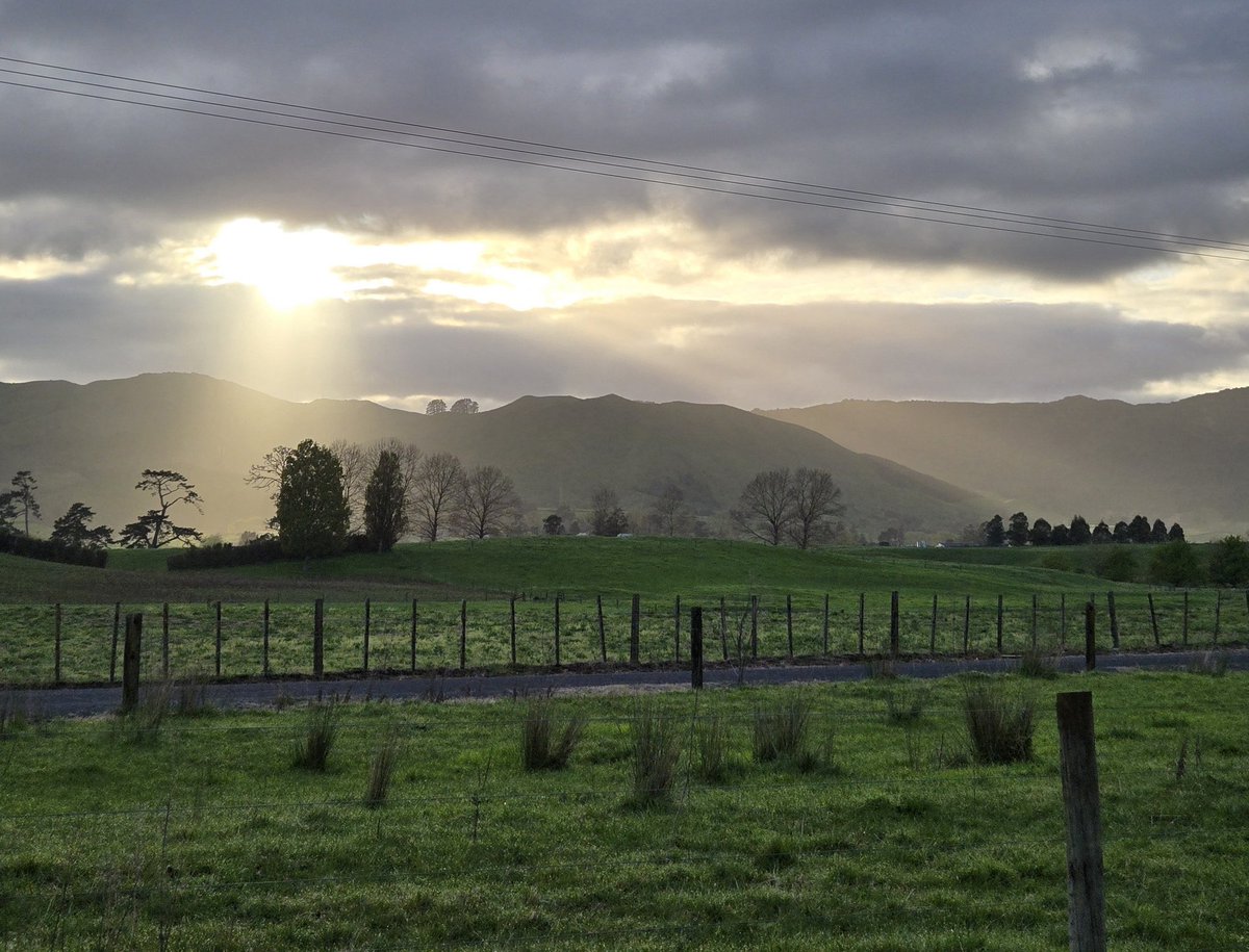 Sorry guys.... cant seem to resist bursts of sunlight.