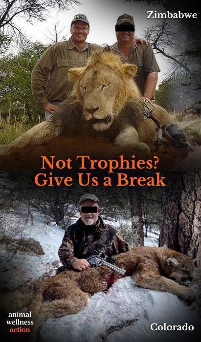 nasrene41's tweet image. #BanTrophyHunting #ExposeTrophyHunting