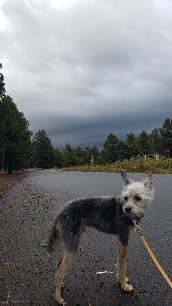 Jennifer Steen tweet media