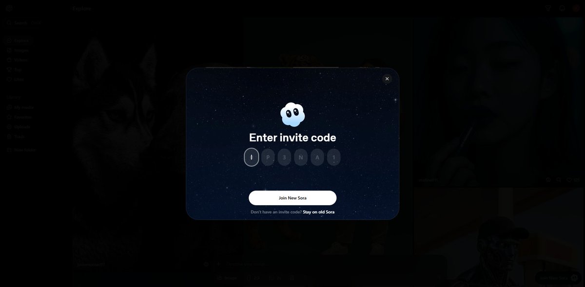 Can someone pls give me Sora invite code🥺