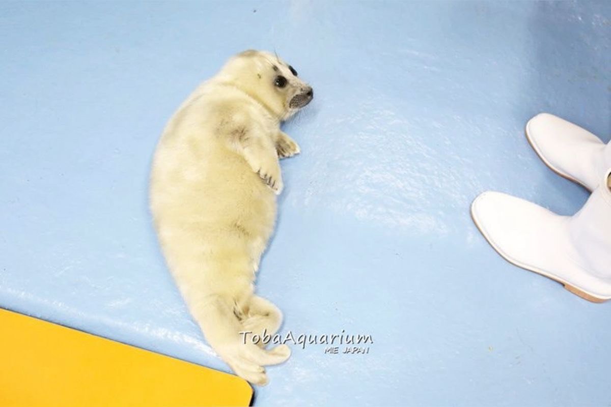 Wow i can't wait to eat this lovely potassium filled banan- wait a minute......