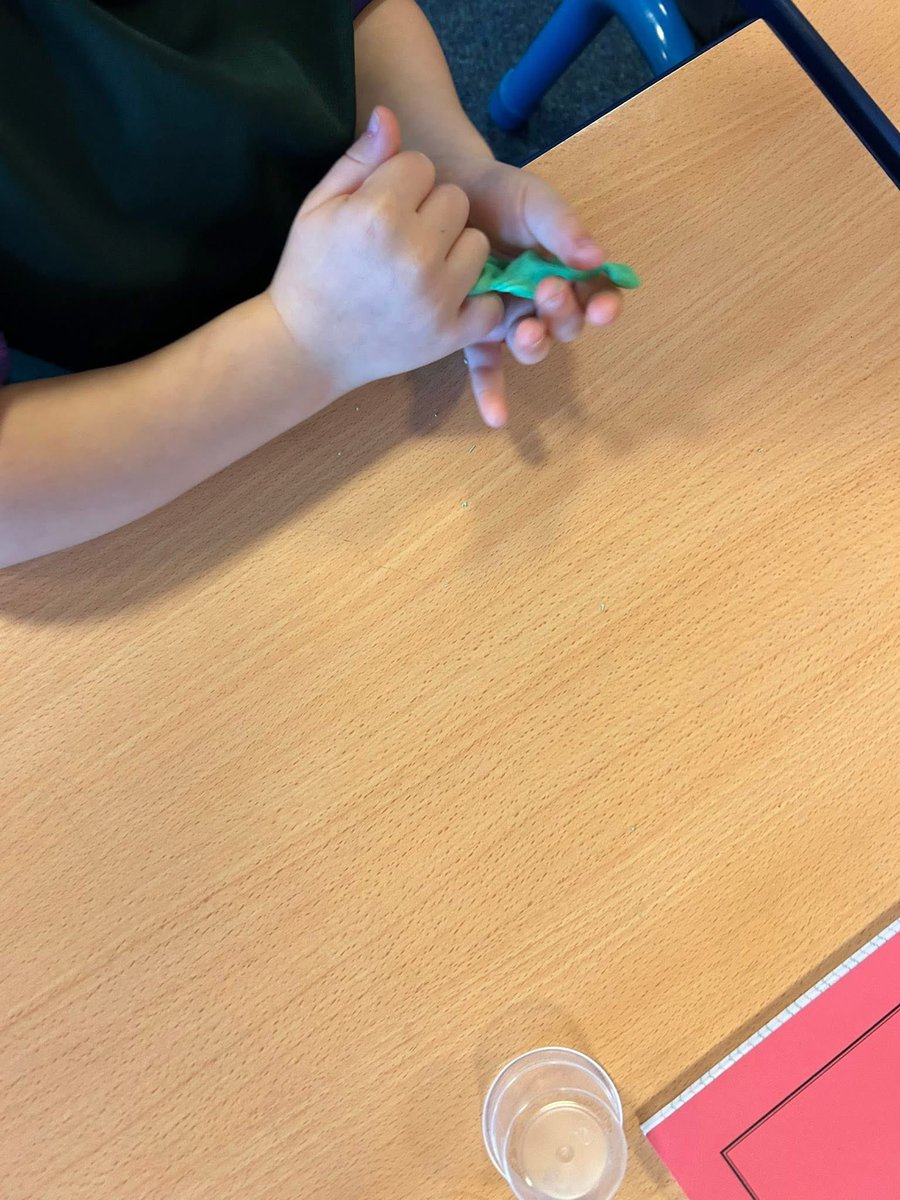 Willow Tree St Helens tweet media