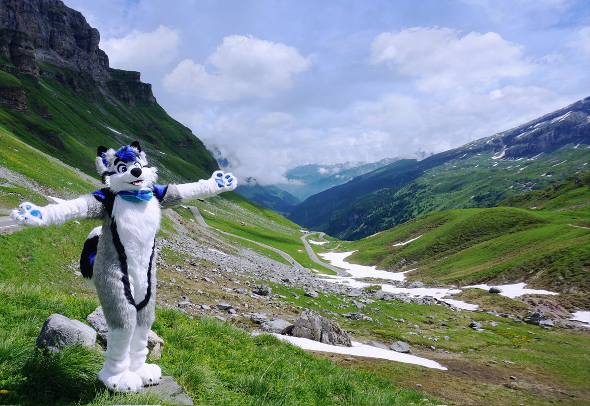 I’m the fluffiest Swiss tour guide you’ll ever meet 😜 🇨🇭 ✨ 🏔