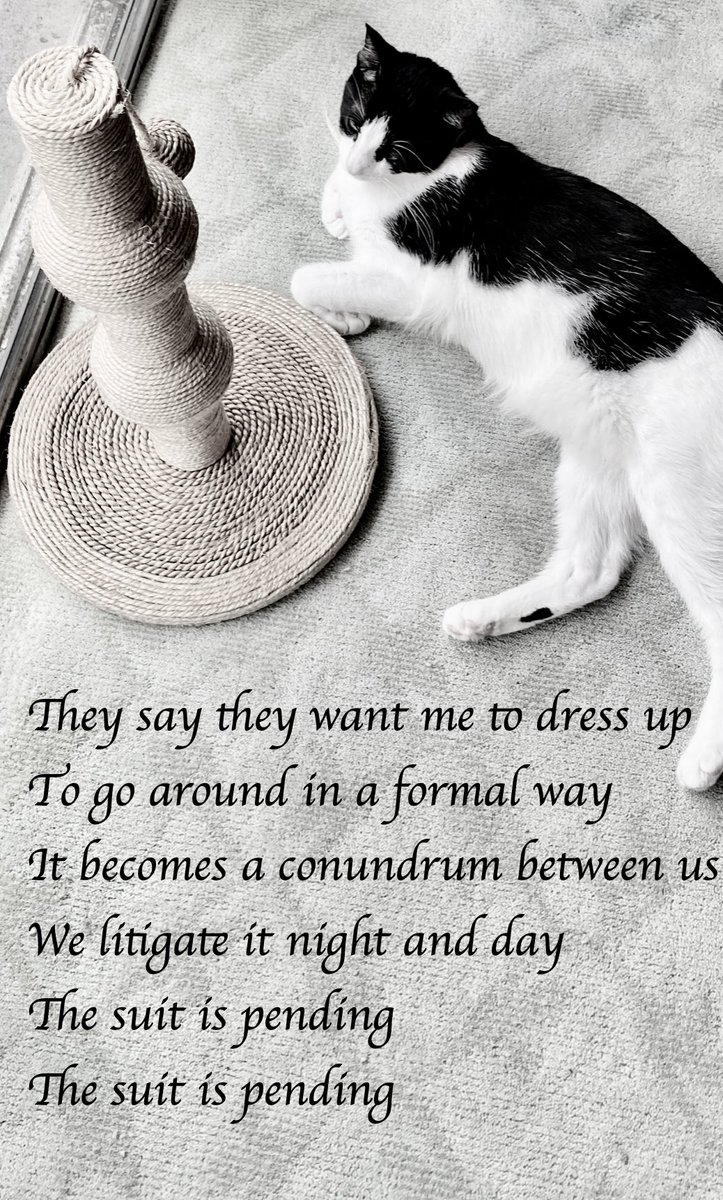 #vss365 
Today is the first annual 
#NationalAIinWorkDay

AI to empower you with insight
of #conundrums that come
   from the night
The guessing game is over
No more crossing Africa &amp;
  old Land Rovers
Go to work now tool without quirk
You know where it's at
Like Tuxedo Cats