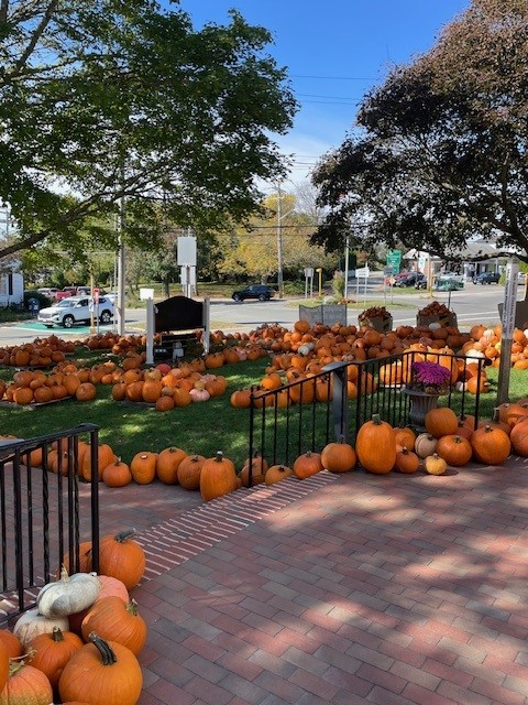 Cape Abilities helped unload and organize the pumpkin patch at First Congregational Church of Chatham.  

Gerianne an individual in Cape Abilities Vocational Program put her job skills into action by running the register. She ended the day with a smile &amp; pride in a job well done.