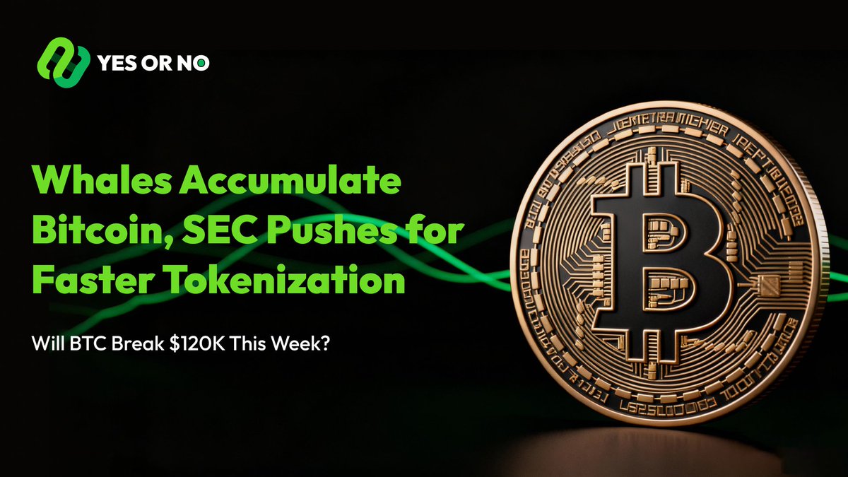 YesorNo_Labs's tweet photo. 🚨 Big shift in capital flows & regulation: whales are accumulating Bitcoin again, while SEC Commissioner Peirce calls for faster progress and cooperation in tokenization.

The question now: 
 Will BTC push past $120K before the end of this week? 👀

#Crypto #BTC #PredictionMarket #YesorNo