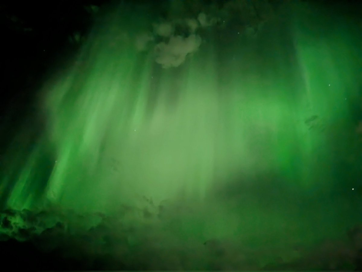 🇨🇦 Patrick O. Nature Photography 🇨🇦 🇺🇦 tweet media