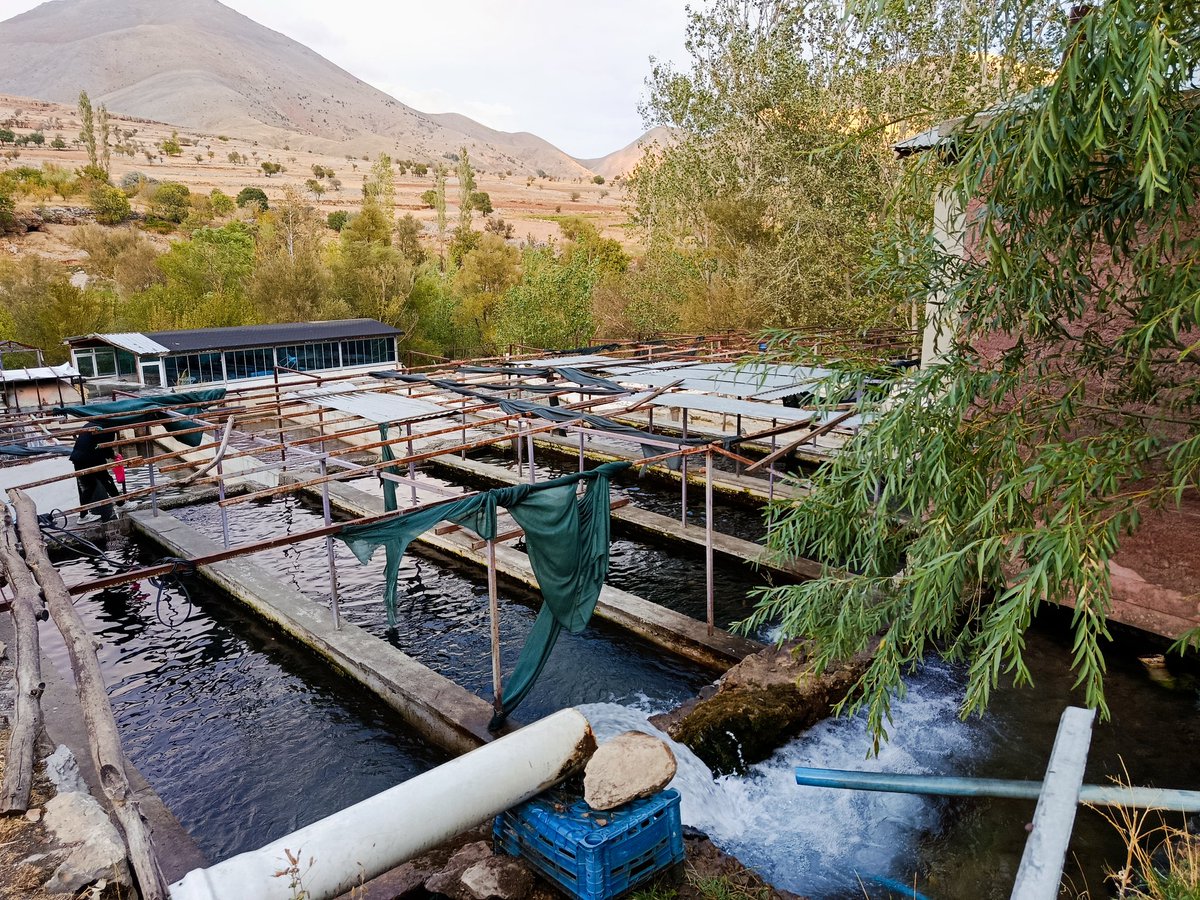 Her insan,yaşadığı müddetçe bir şeyler biriktirir hayatında,ama hayrı,ama şerri !
"Heybende ne birikiyor iyi bak."demiş İnsan oğlu....