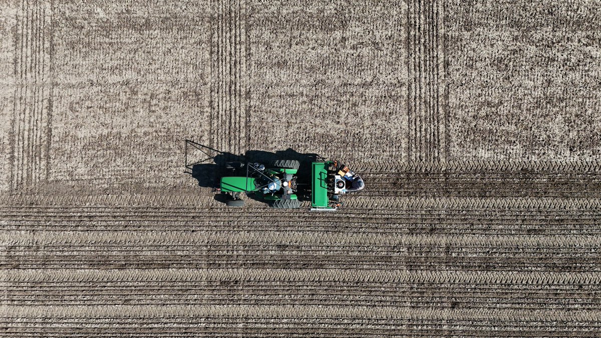 Cribit Seeds tweet media