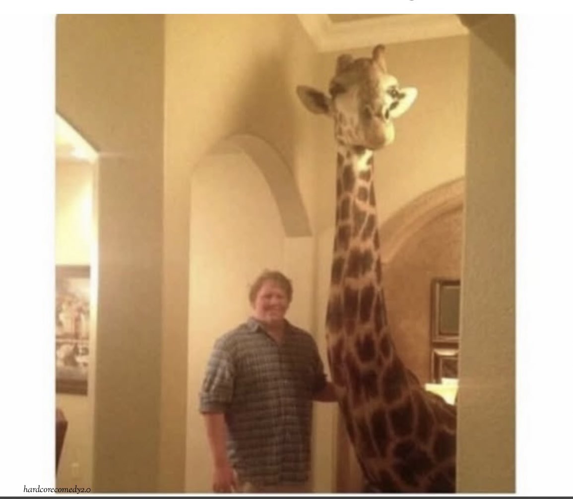 hardcorecomedy2's tweet image. Weird flex! In the meantime let Mr long neck chill with food and water, call his mom over to see her reaction lol Than return that majestic mf bugged out animal back to the ZOO!