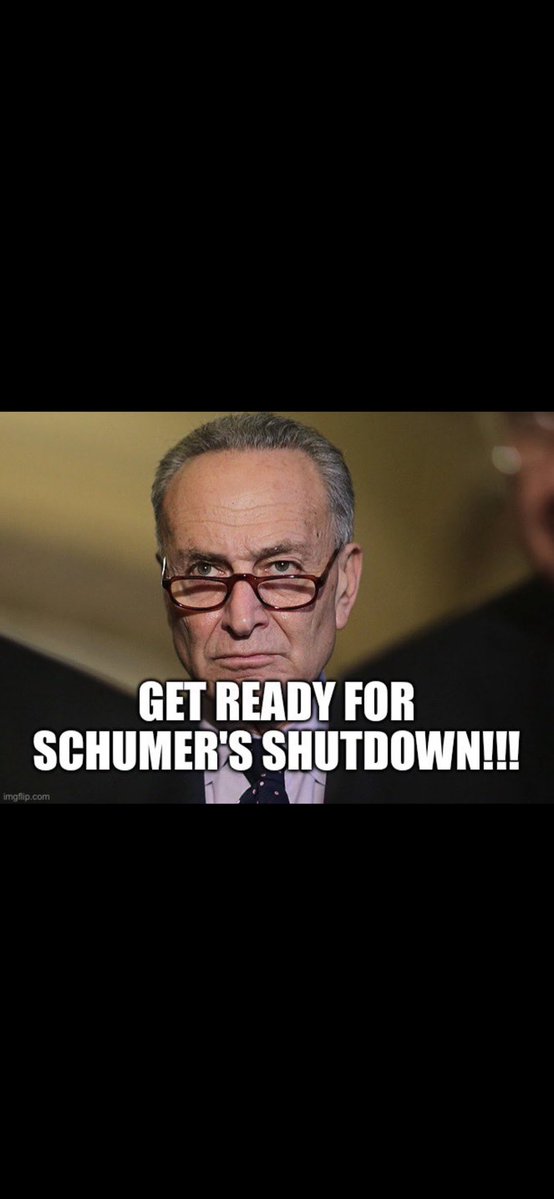 HouseofElon's tweet image. Schumer Shutdown