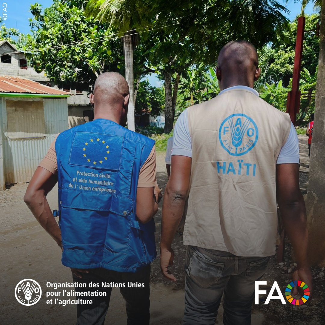 Rencontre avec la DDA du Sud-Est (#Haïti🇭🇹) lors de la visite de <a href="/eu_echo/">EU Civil Protection & Humanitarian Aid 🇪🇺</a> 🇪🇺 avec <a href="/FAO/">Food and Agriculture Organization</a>.

Bientôt, 6 000 personnes recevront des kits de production alimentaire d’#urgence et des transferts de cash à Belle-Anse et Grand-Gosier.

#SécuritéAlimentaire #agriculture