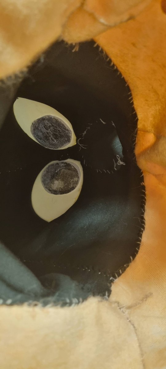 Antlerthedutchie tweet media