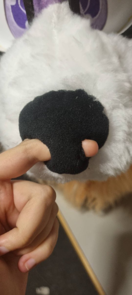 Antlerthedutchie tweet media