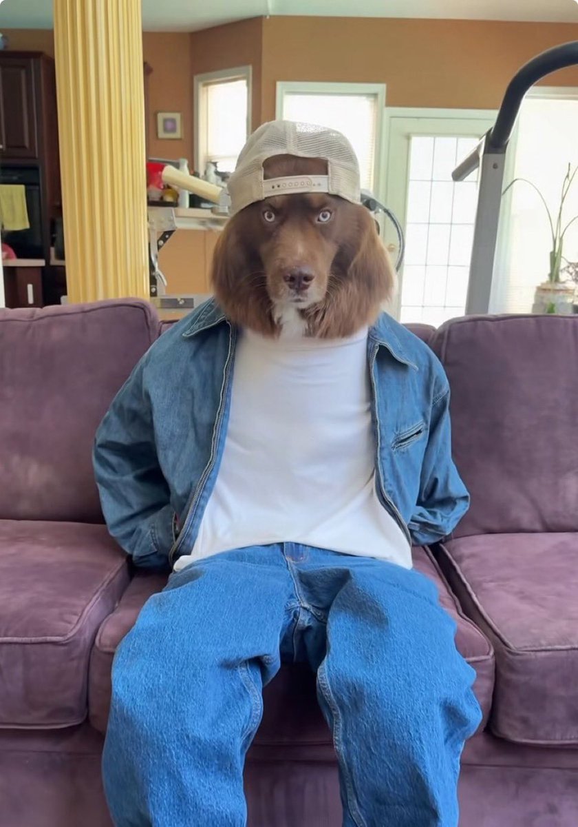 veloo ⚪️🍂 tweet media