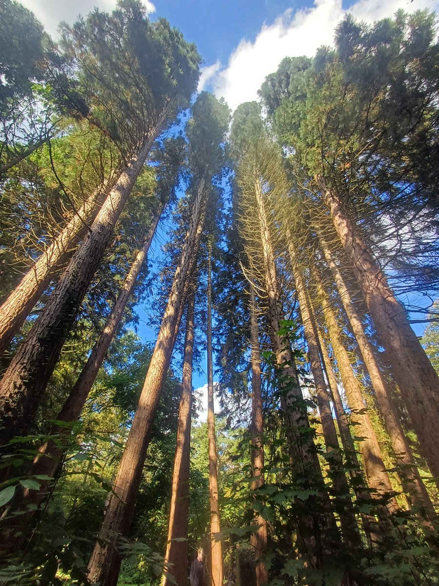 camerasnapshots (@camerasnapshots) on Twitter photo 