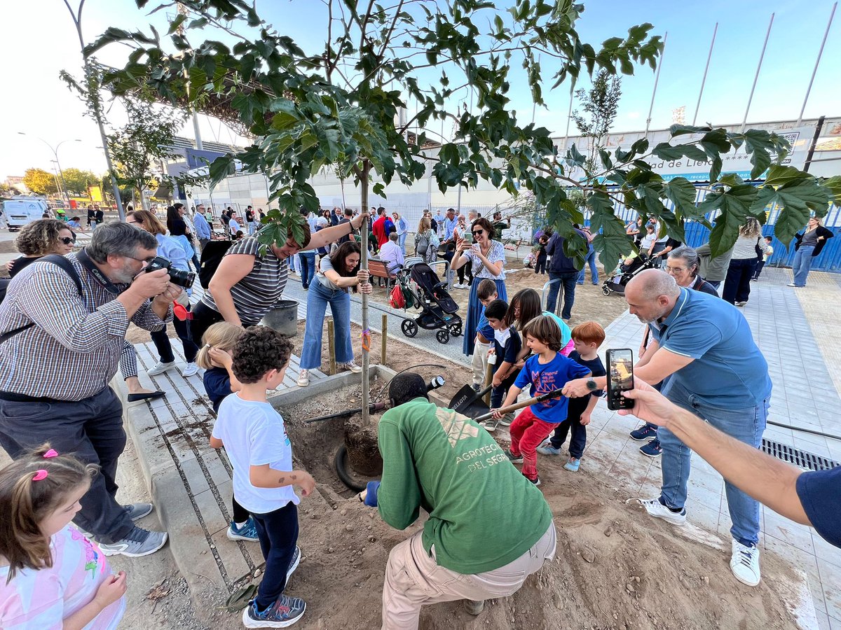 🌳 Avui hem començat a plantar els 80 arbres que faran més verda l’Avinguda Doctor Fleming.

✅ Ja en portem +2.000 en dos anys
🌱 Aquest any en plantarem 850 més
🎯 Objectiu mandat: 4.000 arbres

Fem créixer la #LleidaVerda i sostenible que volem 🌍.
