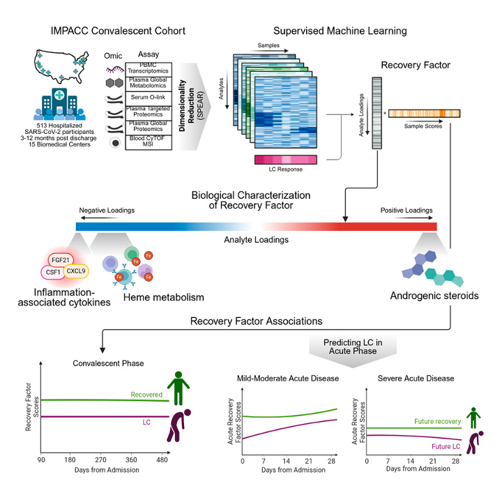 Groundbreaking multi-omics research identifies a "recovery factor" that predicts Long COVID (LC)! The IMPACC study used transcriptomics, proteomics, &amp; metabolomics on over 500 participants to shed light on LC's root cause: unresolved immune activation.

Key Biological Signatures