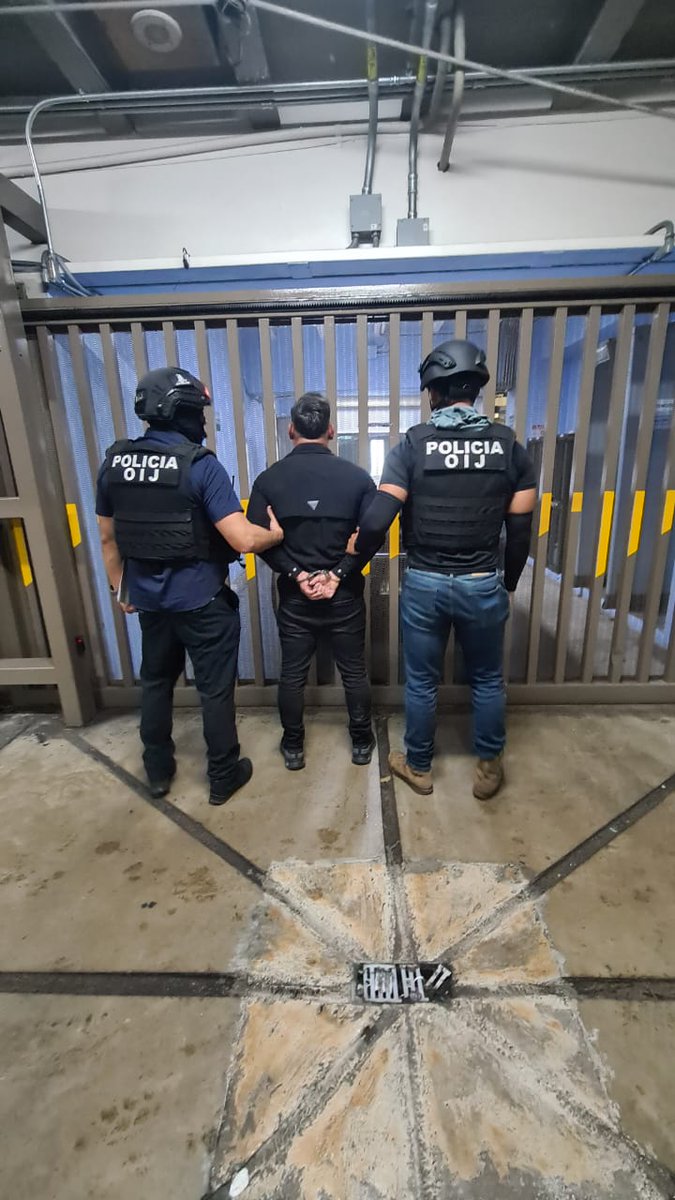 DirectorOIJ tweet media