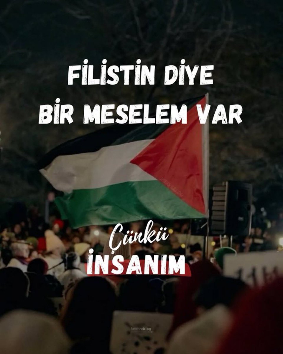 Bir duruşu olmalı insanın. 
Bir bakışı, bir anlayışı, 
Bir aşkı, bir davası olmalı. 

- Cahit Zarifoğlu. 🇹🇷🇵🇸