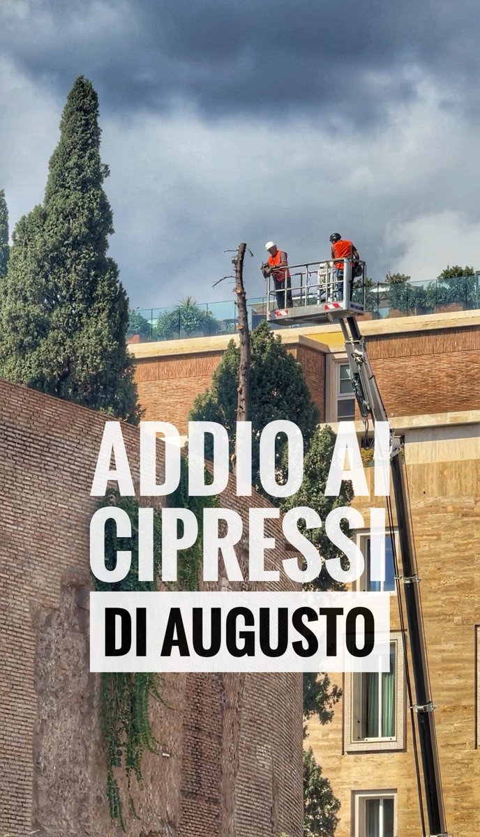 🥲 👉🏻 instagram.com/reel/DPO04yrDD…