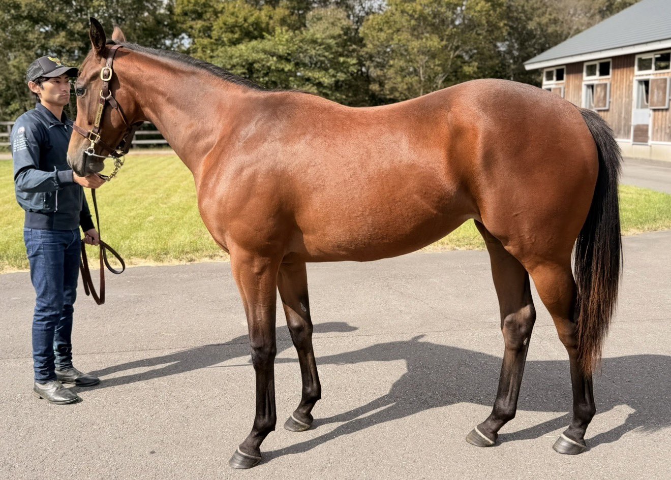 𝙗𝙪𝙗𝙗𝙡𝙚 on X: 