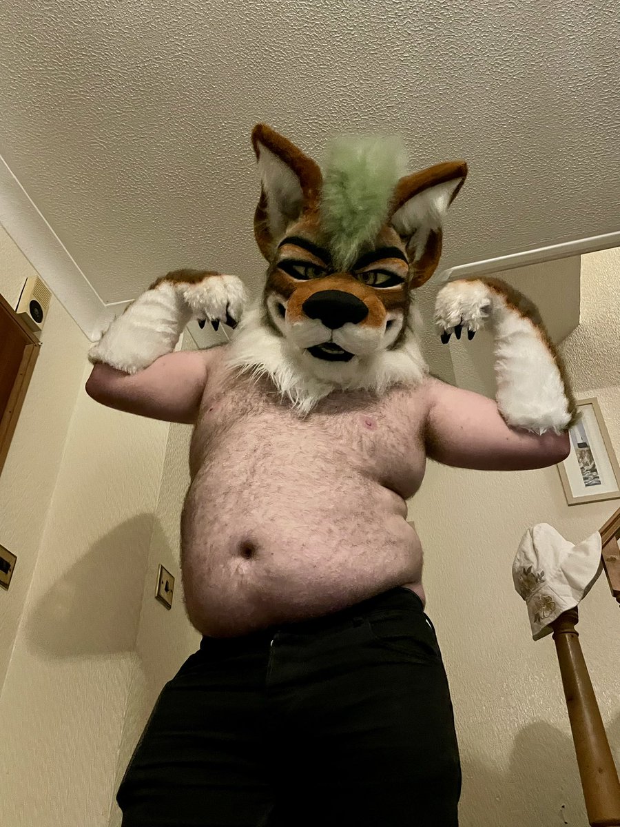 EllisCoyote's tweet photo. I believe it’s #tummytuesdsy again who says you can’t be big and strong? https://t.co/8R9etEcL3g