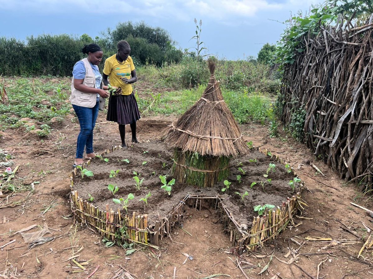 Small spaces, Big harvests: Keyhole technology offers a practical solution for vegetable production on small pieces of land! 
#technology #foodsecurity #health #food #vegetables