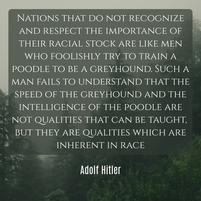 Bird Friend tweet media