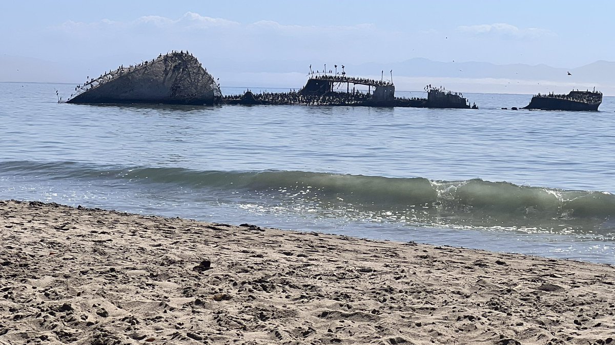 DanHammin tweet media