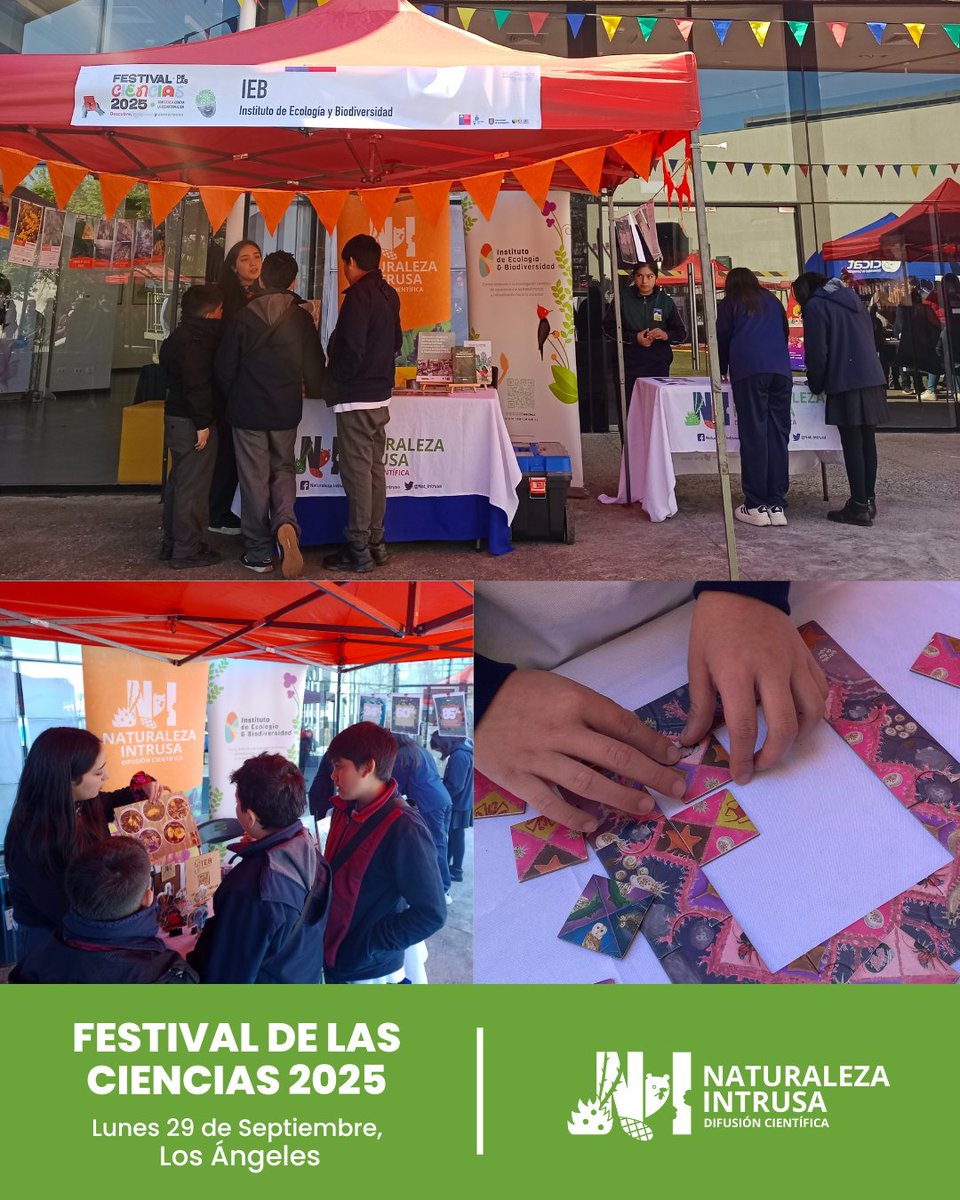 Nat_Intrusa's tweet photo. 🌿 ¡Ayer estuvimos presentes en el Festival de las Ciencias en Los Ángeles junto al Instituto de Ecología y Biodiversidad (@IEBChile )! 🌿✨

Compartimos aprendizajes, experiencias y curiosidad en torno a la biodiversidad y los desafíos frente a las especies invasoras. 🌱 https://t.co/bEtCiDMGTF