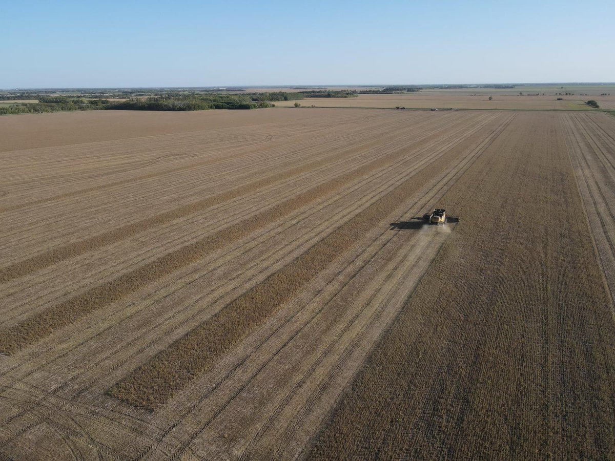 Harvest time in Selkirk, MB!

Oslo XF being harvested by Pigeon Bluff Farms.