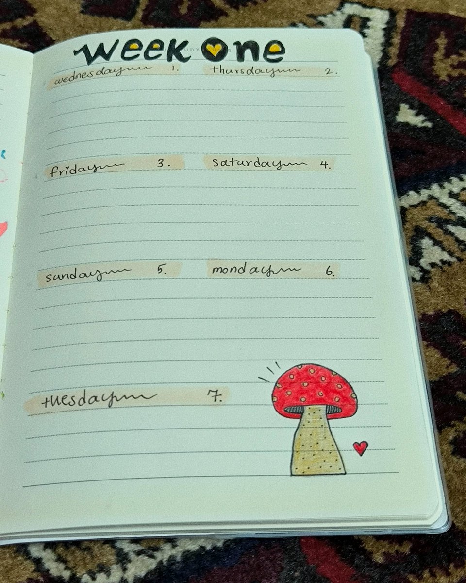 мура-камй☕📚🐾 tweet media