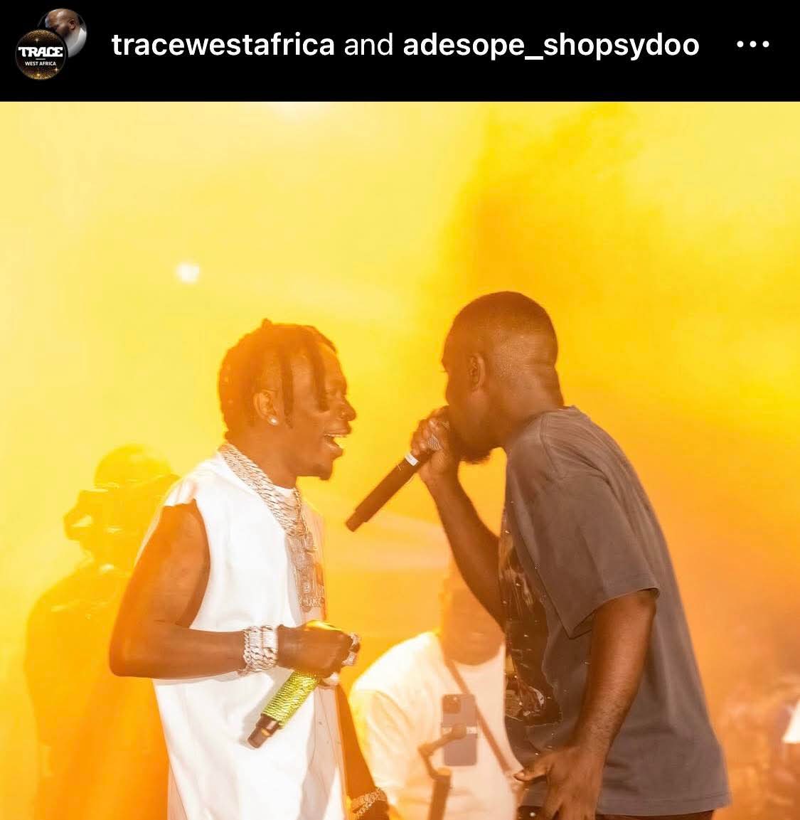 Webkid_Afrika tweet media