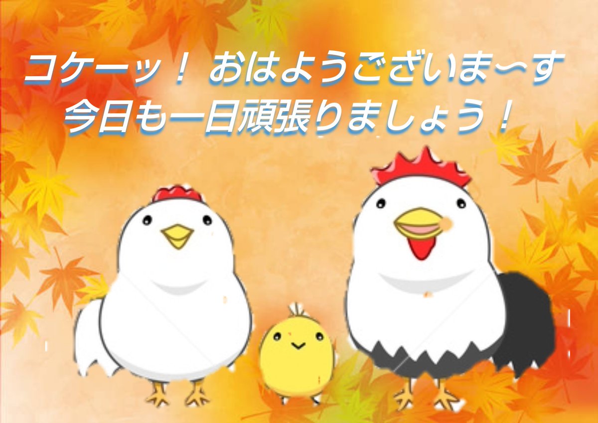 よっしー様おまとめです。 よっしー様おまとめです。 ヨッシー - Search / X