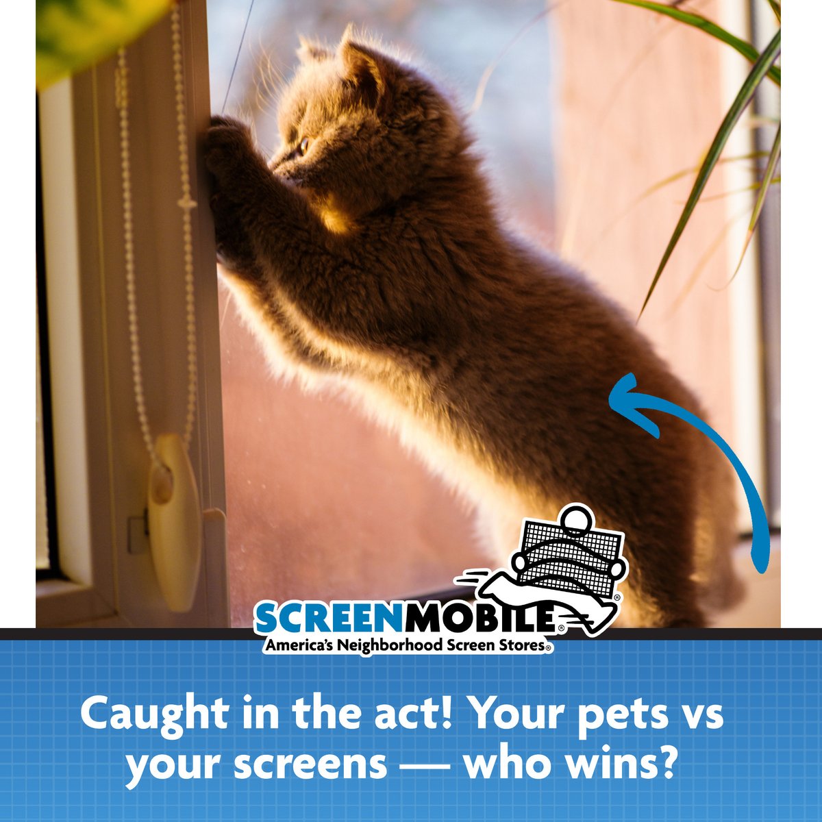 Screenmobile Corp. tweet media