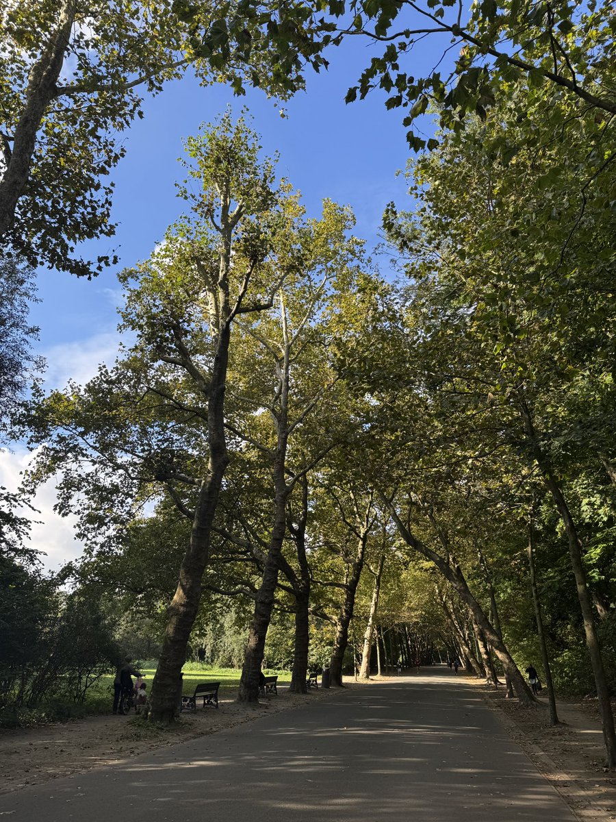 On my favorite walk listening to two of my favorite podcasters <a href="/tferriss/">Tim Ferriss</a> and <a href="/FoundersPodcast/">David Senra</a> . What an epic conversation! podcasts.apple.com/ca/podcast/the…