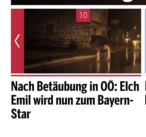 Mathias Neumayr tweet media