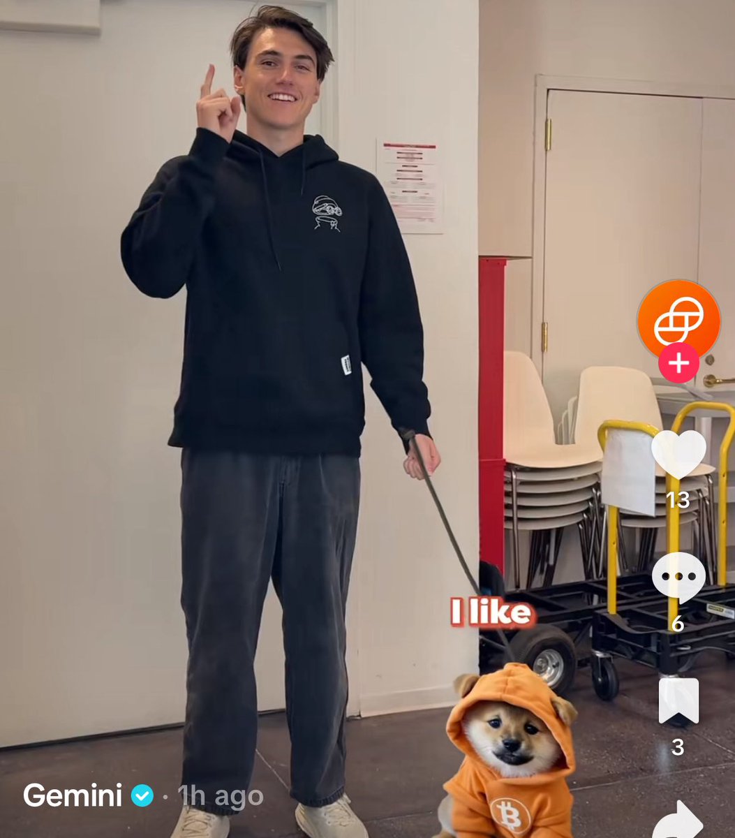 🚨JUST IN: <a href="/Gemini/">Gemini</a> makes a TikTok video including the $DOG of Bitcoin