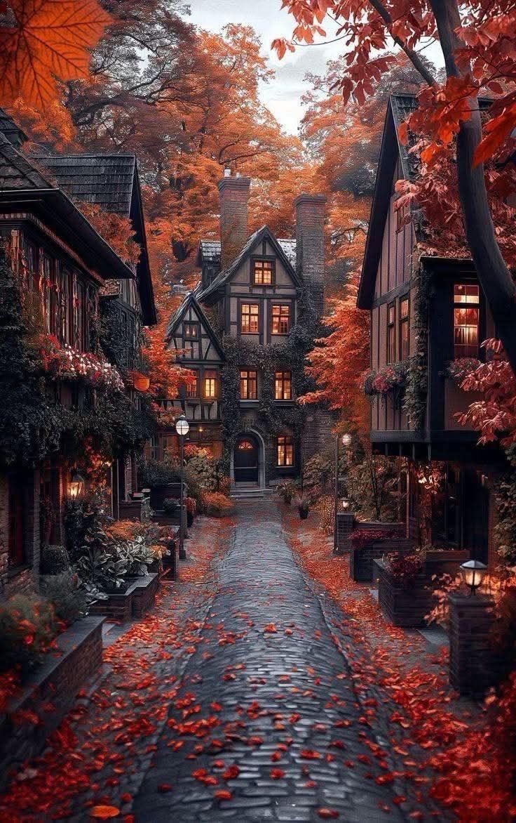 ValentyneDreams's tweet image. Autumnal beauty.