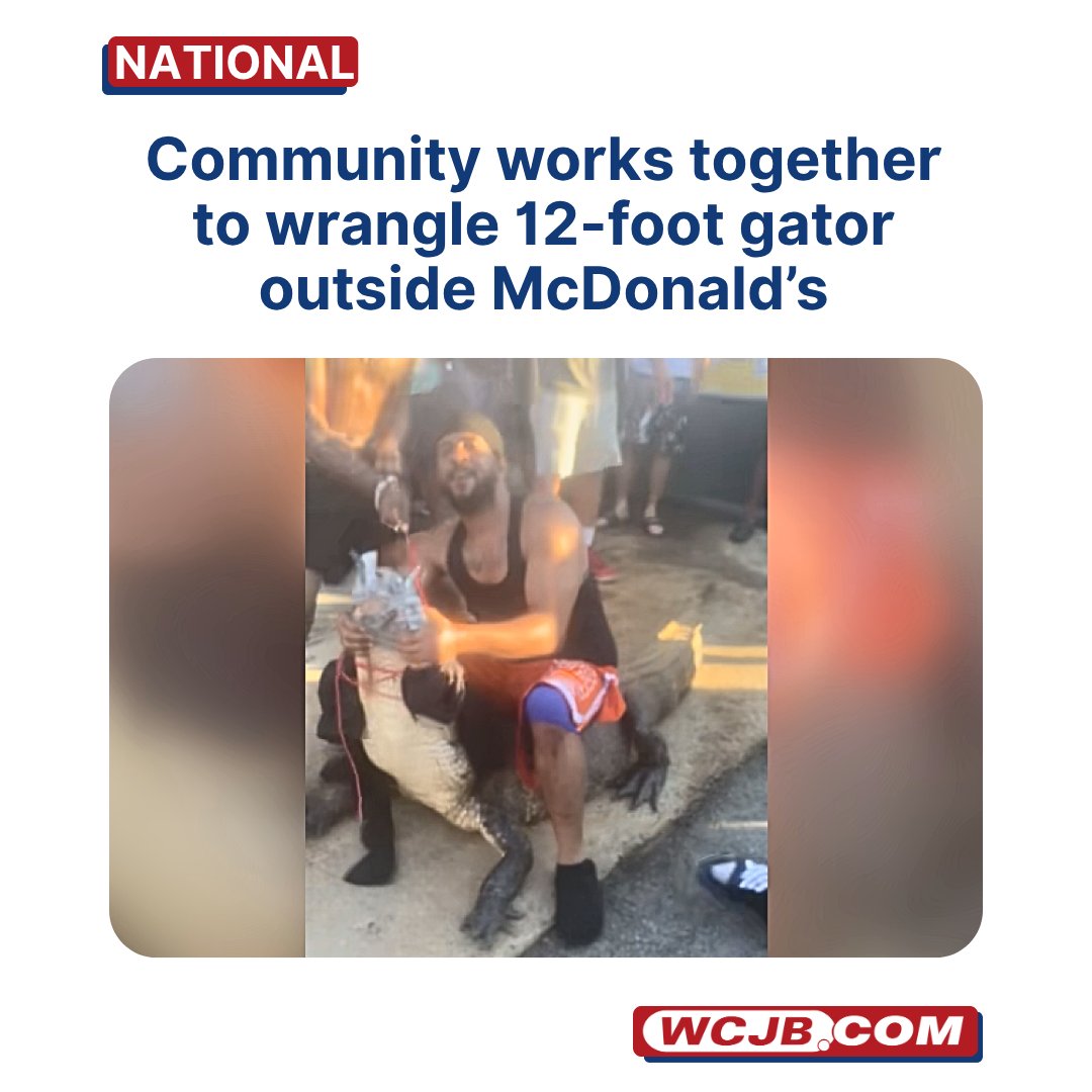 An alligator sighting outside of a McDonald’s in Georgia gained a lot of attention over the weekend after residents took it upon themselves to help capture it. Read more: wcjb.com/2025/09/30/com…