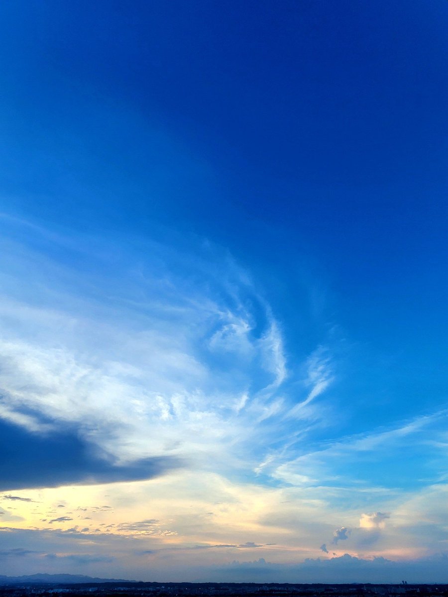 8731_k's tweet image. 