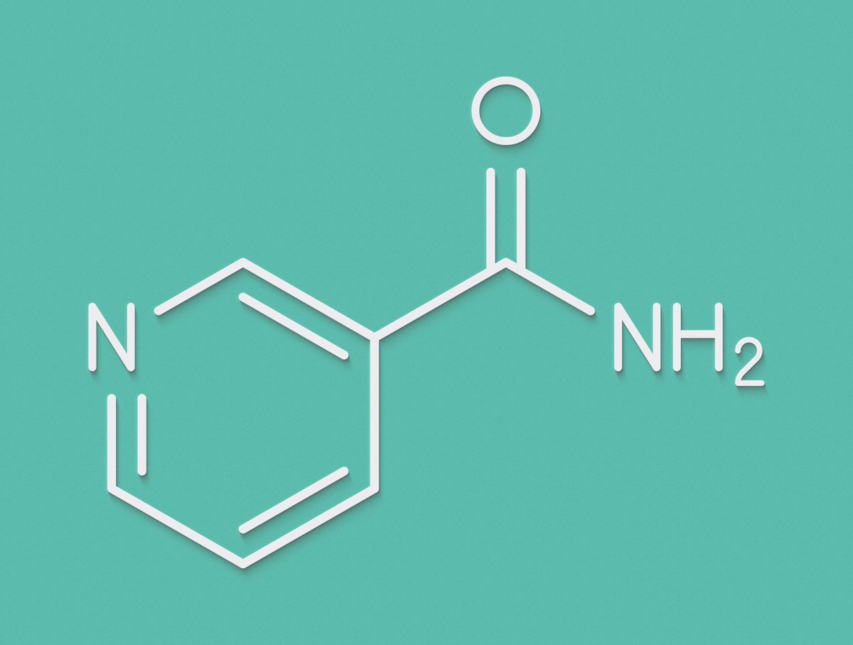 ASCOPost's tweet image. Study suggests that dietary supplement nicotinamide associated w/ reduced risk of new skin cancer development.
✅ Greatest benefit seen when taken after first skin cancer

By Kimberly Breglio, MD, PhD of @DukeDermatology, et al

ascopost.com/news/september…
#skincancer #CancerResearch