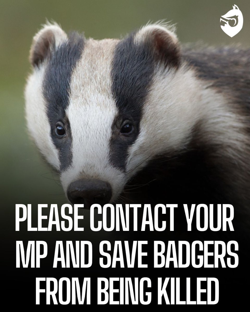 Protect the Wild tweet media