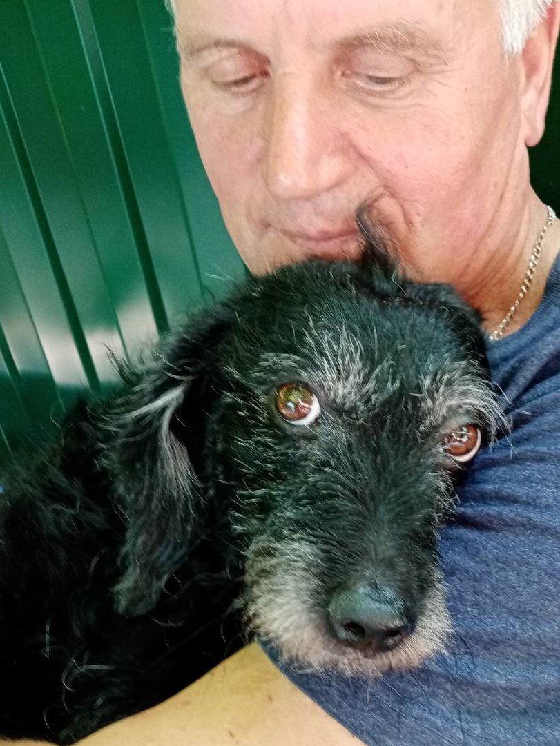В нашей приёмной для 🐱и🐶семье живут свою счастливую жизнь почти 60 хвостатых,которых мы спасли,вылечили и оставили жить у нас.Мы заботимся о них и показываем здесь их жизнь. Просим вашего участия в закупке еды для них🙏❤️ BELARUSBANK 9112 3801 1004 9667 до 09/26 STABROVA HALINA