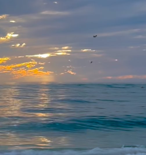 Silenci (@silenciiii) on Twitter photo 