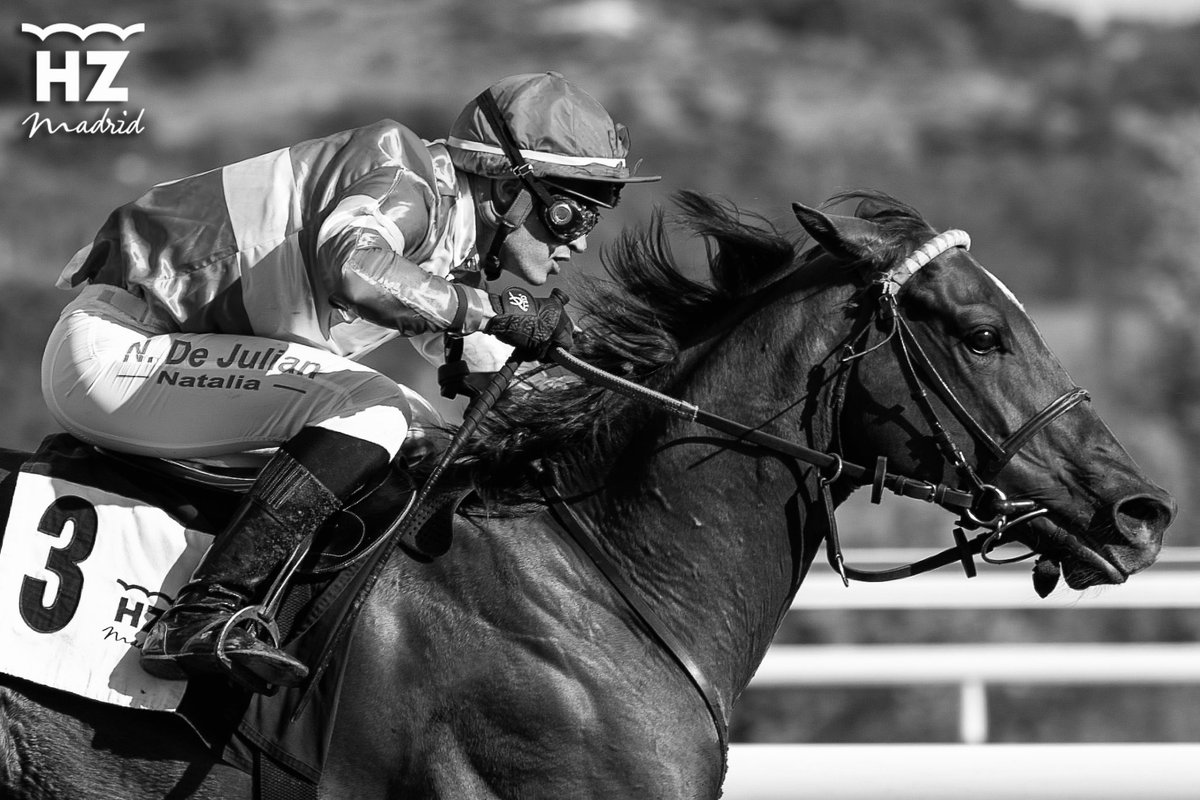 Yeguada Agrado tweet media