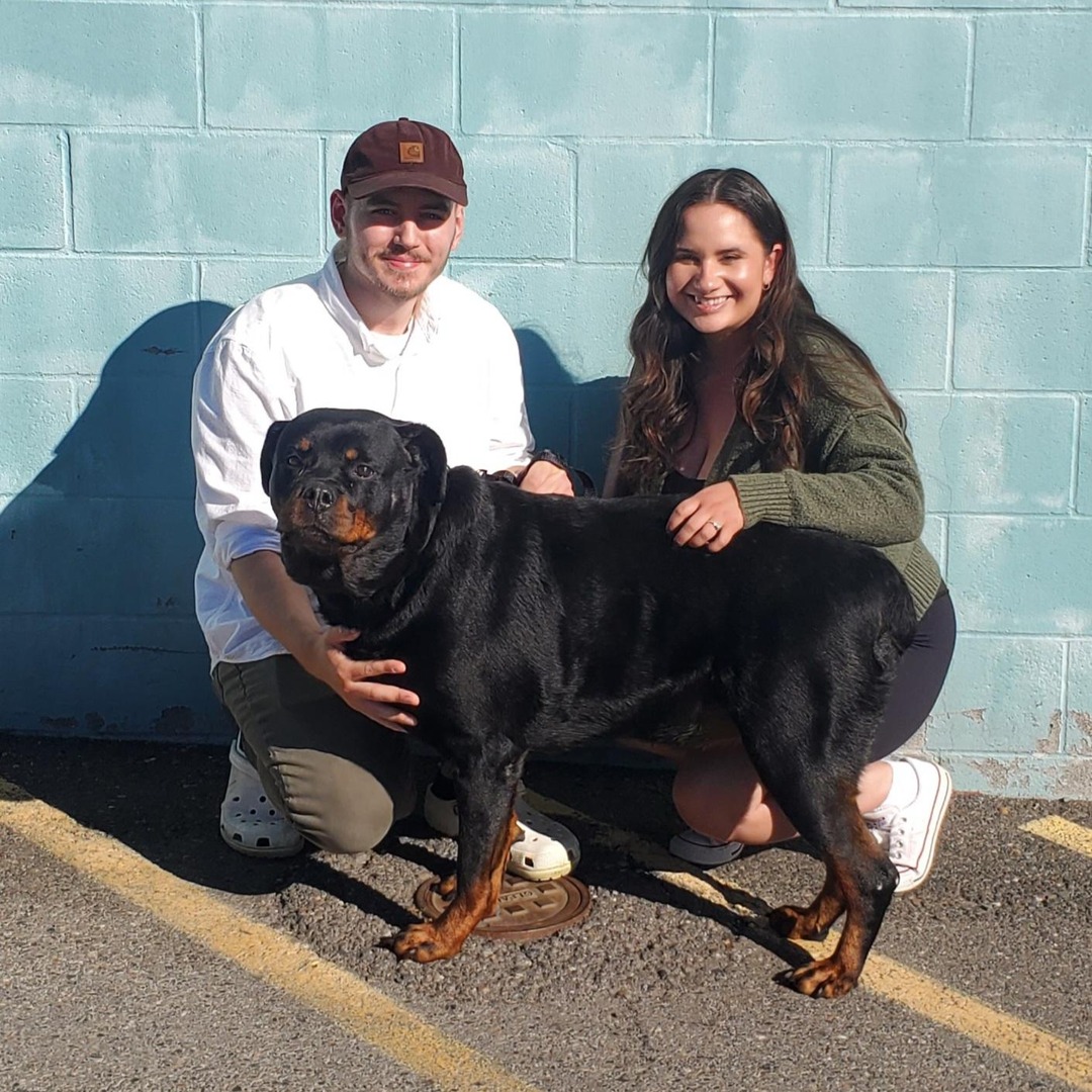 💚🐾 Last week's adoption numbers! 🐾💚

Over the past week 128 dogs, cats, and rabbits found new homes, including Koko!🐶🐱🐰

Congratulations to all the adopters and your new furry friends 🎉

Check out all of our adoptable pets here: thehumanesociety.org/adopt/