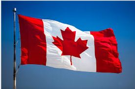 ✨ Dreaming of joining your spouse while they study in Canada? Good news – you might be eligible for an Open Work Permit! 💼🍁
Read our latest blog to discover how you can work in Canada while supporting your partner’s study journey. 🚀
 rfr.bz/t11017f